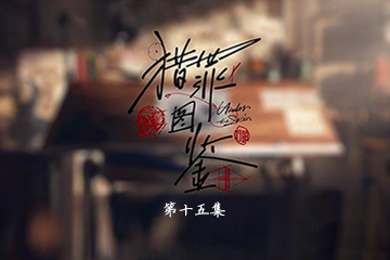 猎罪图鉴 15